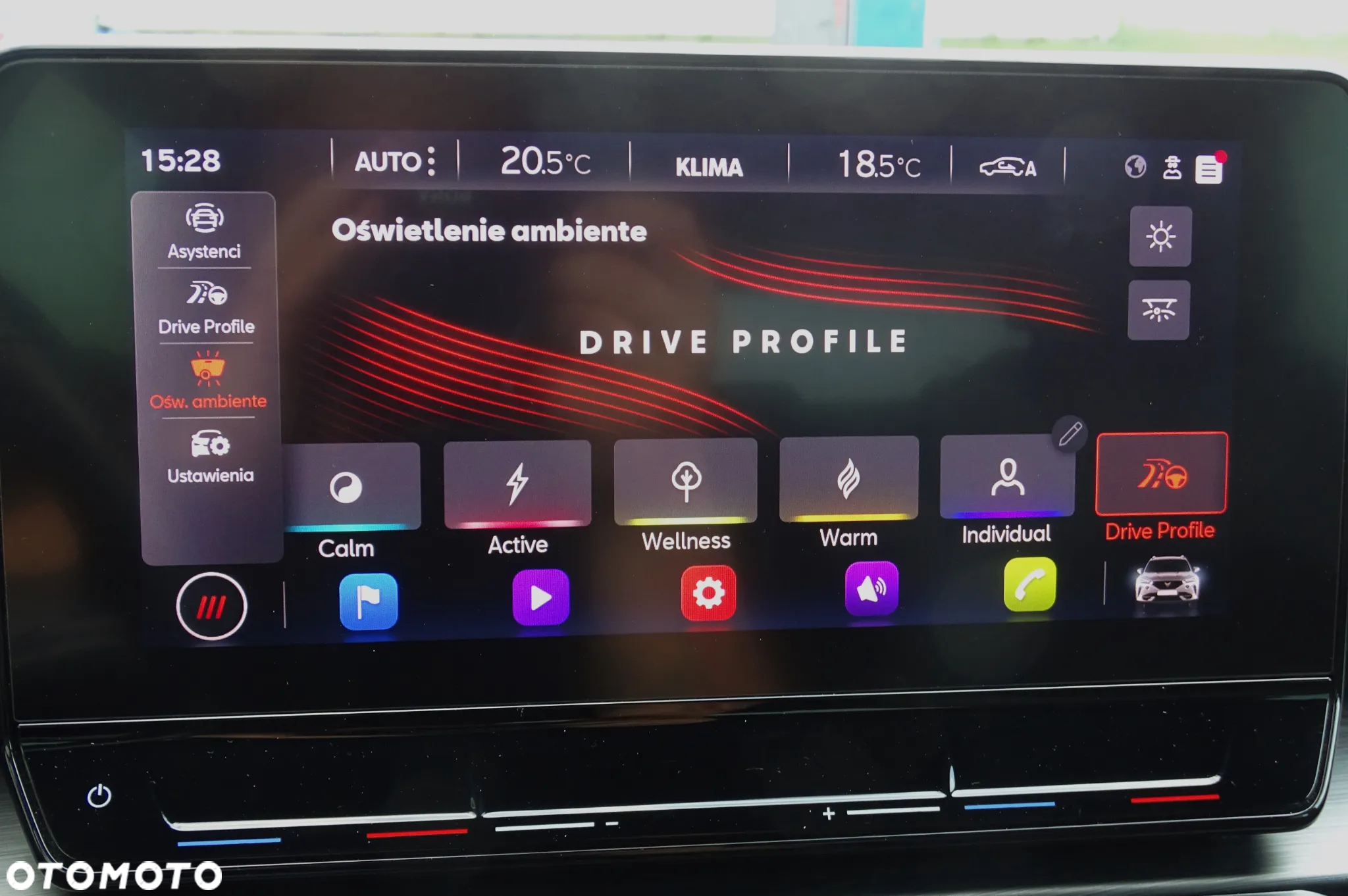 Cupra Formentor 1.5 TSI DSG Tribe Edition - 25