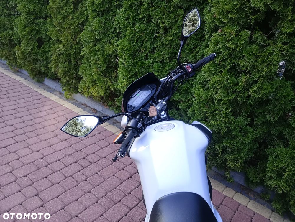 Honda CBF - 14