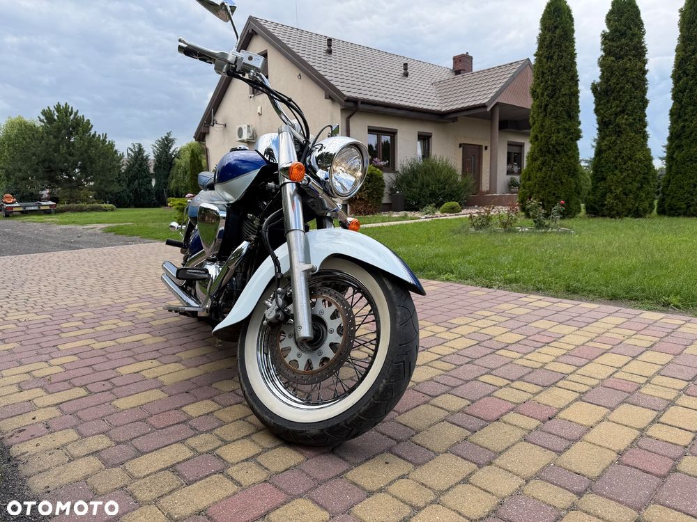 Suzuki VL 800 Volusia - Boulevard C50 - 2