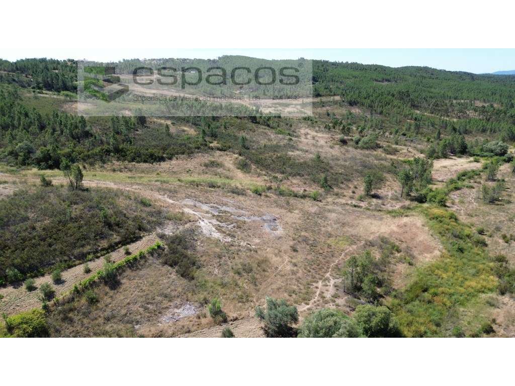 Quinta da Charca - Cabeço do Infante - Grande imagem: 2/15