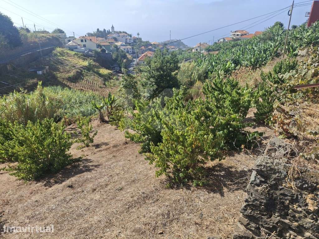Terreno Canhas - Grande imagem: 5/47