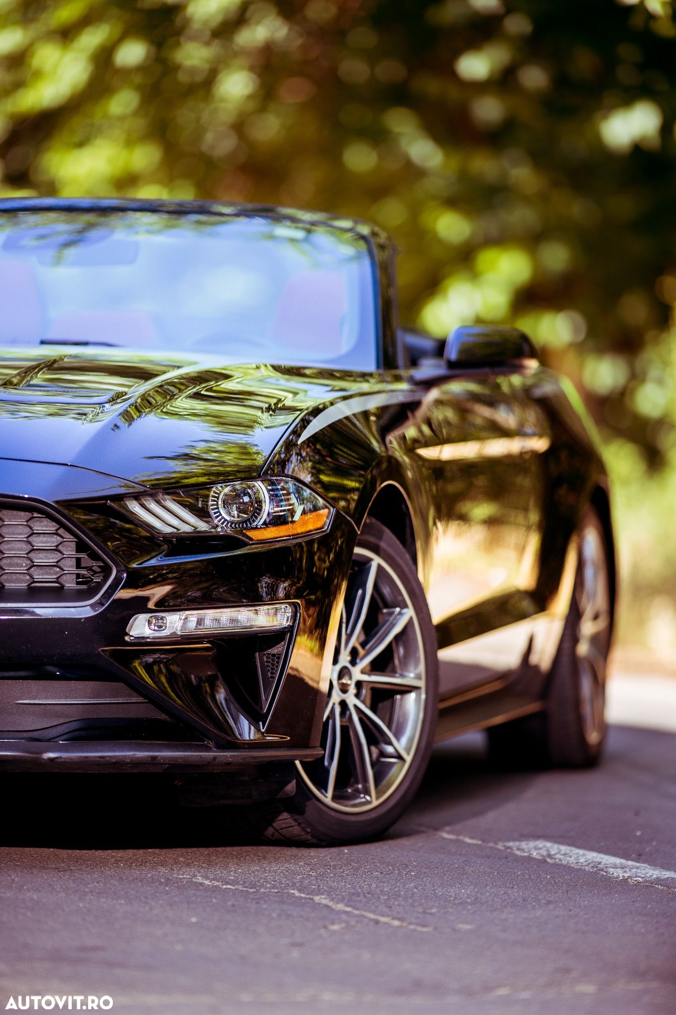 Ford Mustang Cabrio 2.3 Eco Boost - 1