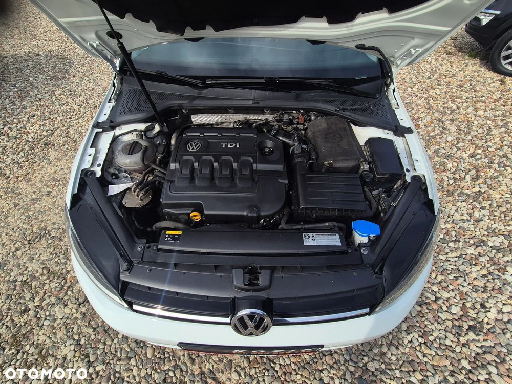 Volkswagen Golf - 39
