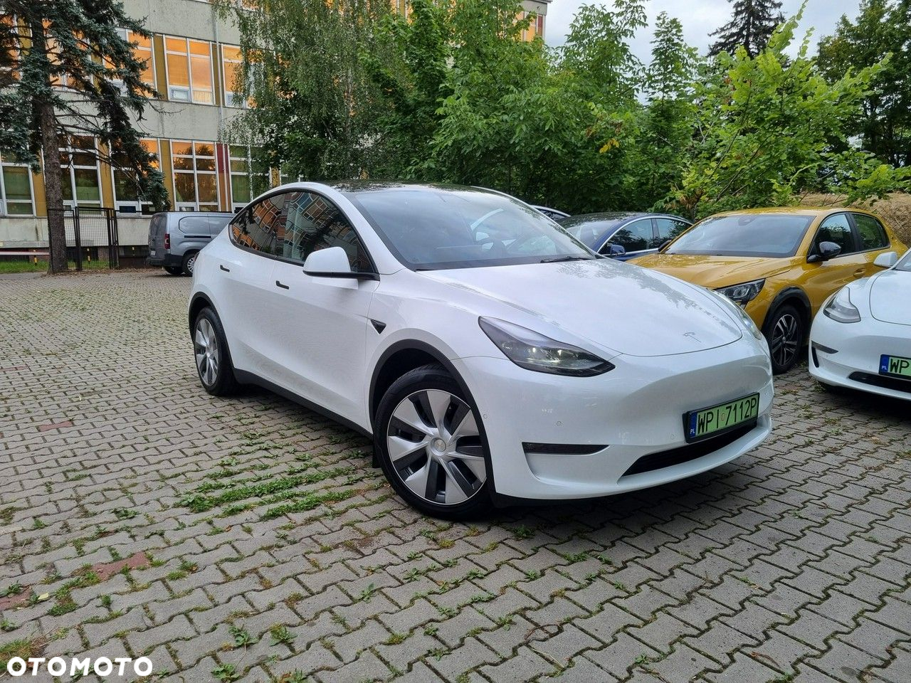 Tesla Y - 7