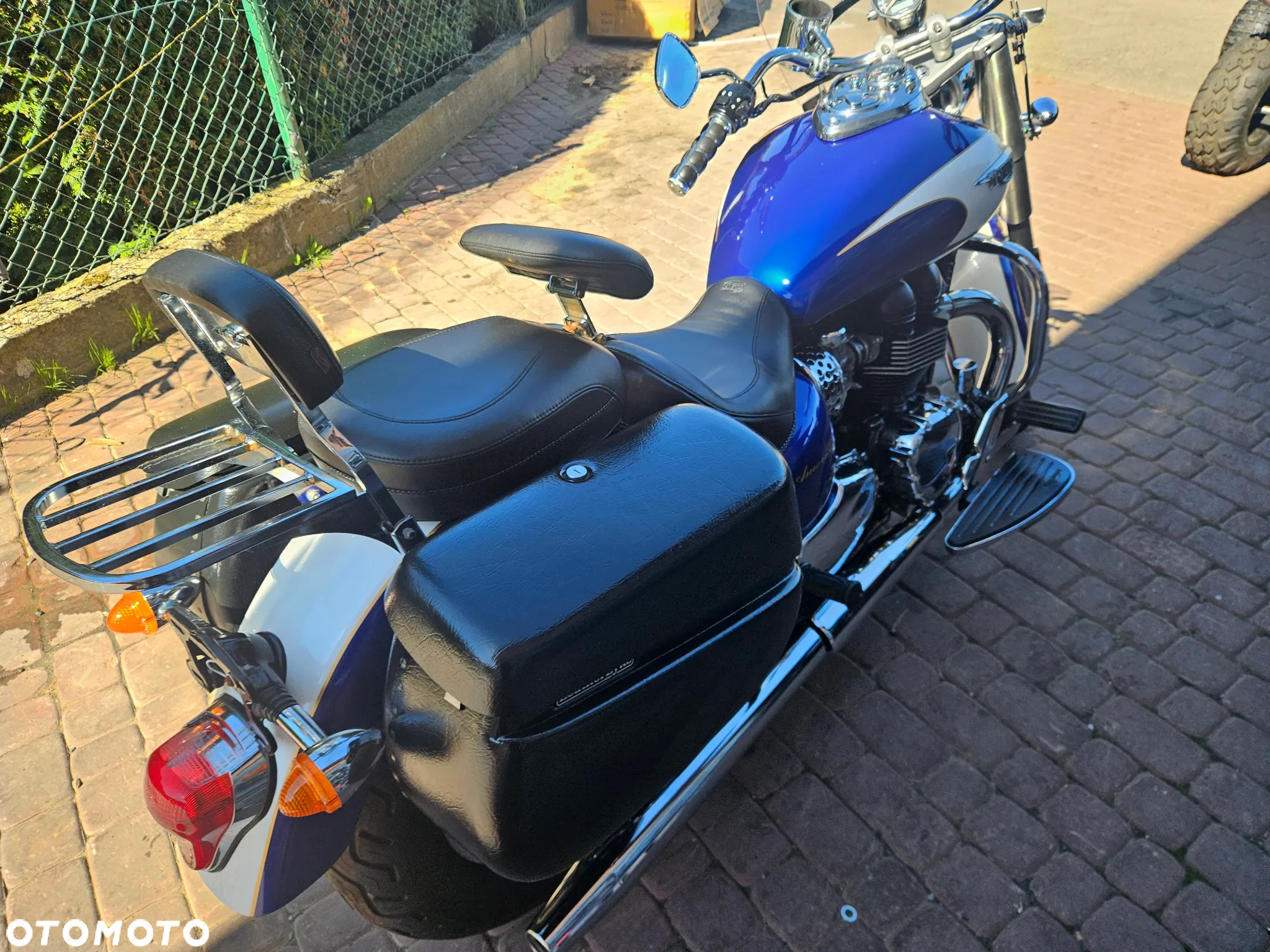 Triumph Speedmaster - 25