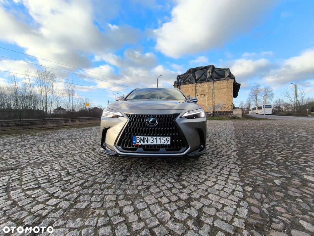 Lexus NX - 21