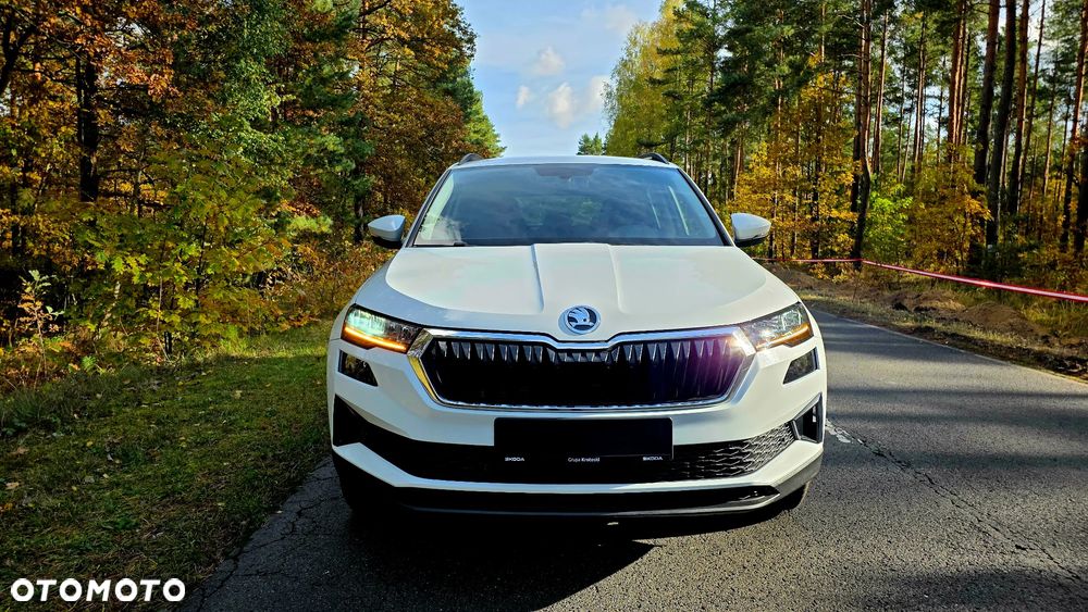 Skoda Karoq 2.0 TDI SCR 4x2 Sportline - 39