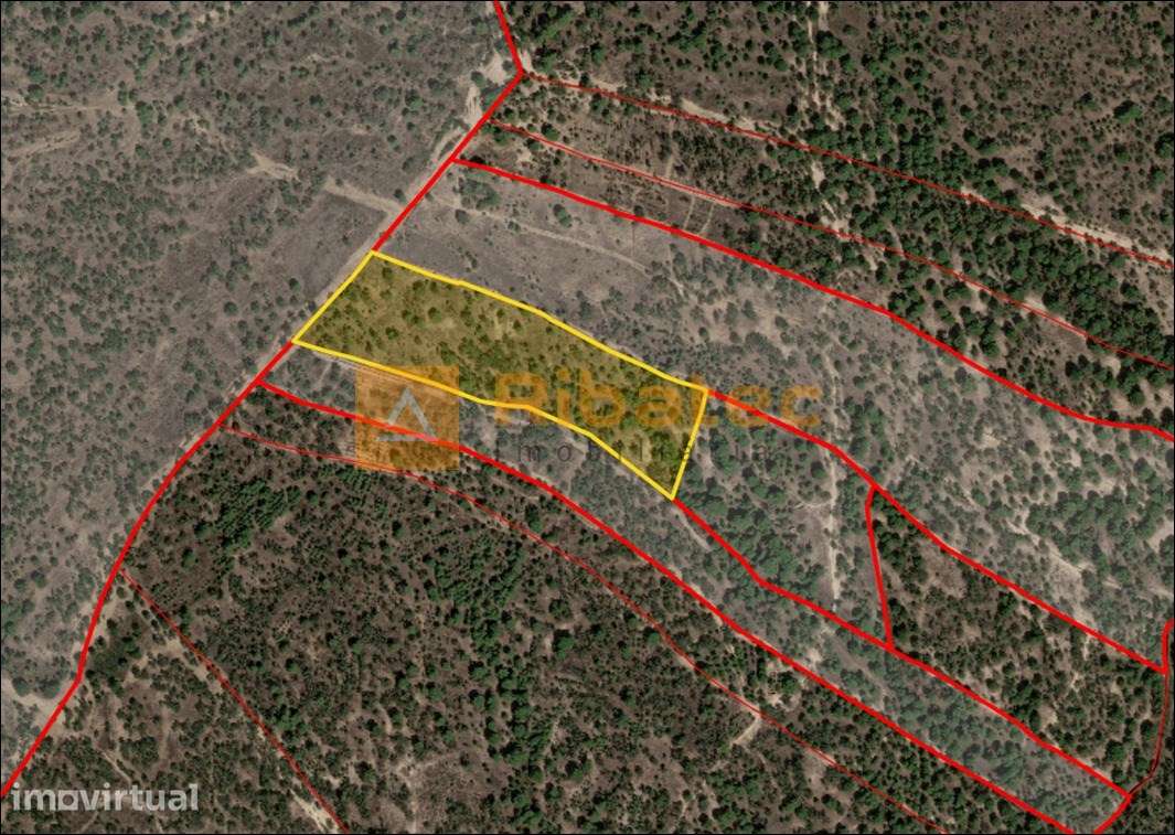 Terreno com 5 hectares no Couço - Grande imagem: 2/2