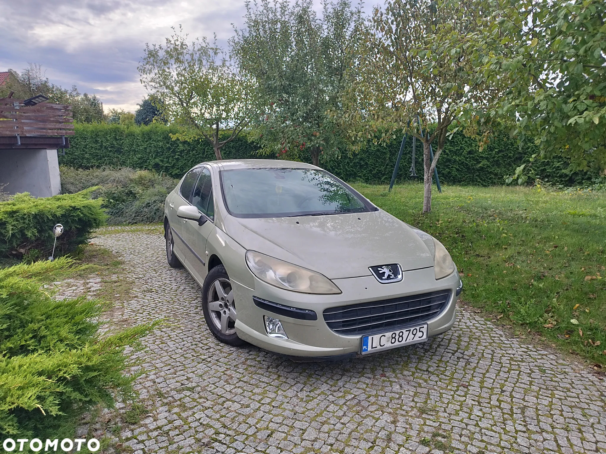Peugeot 407 - 2