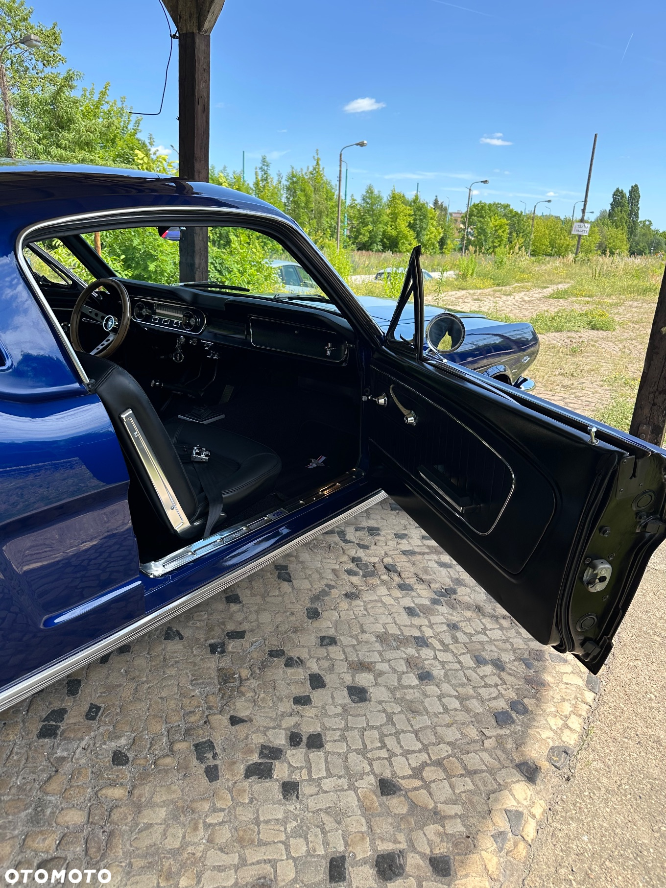 Ford Mustang - 16