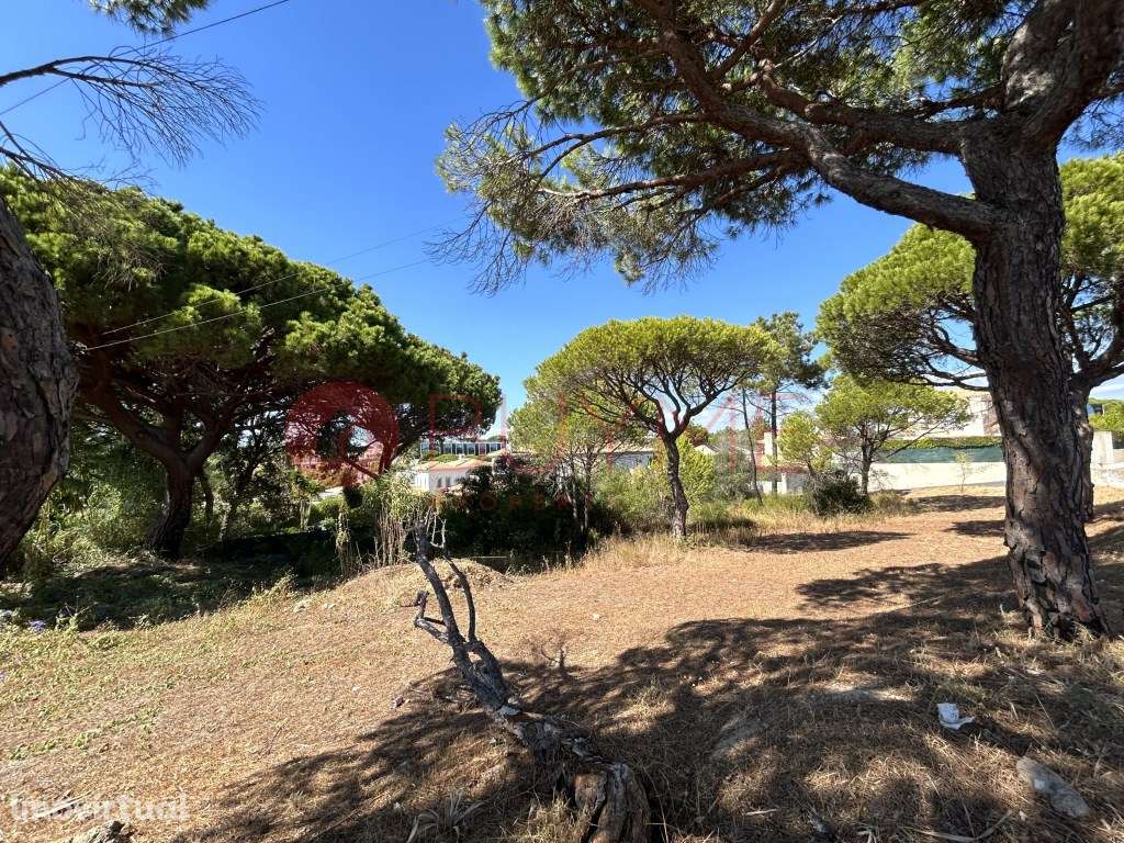 Lote para Moradia de Sonho - Vale do Lobo, Almancil - Grande imagem: 2/6