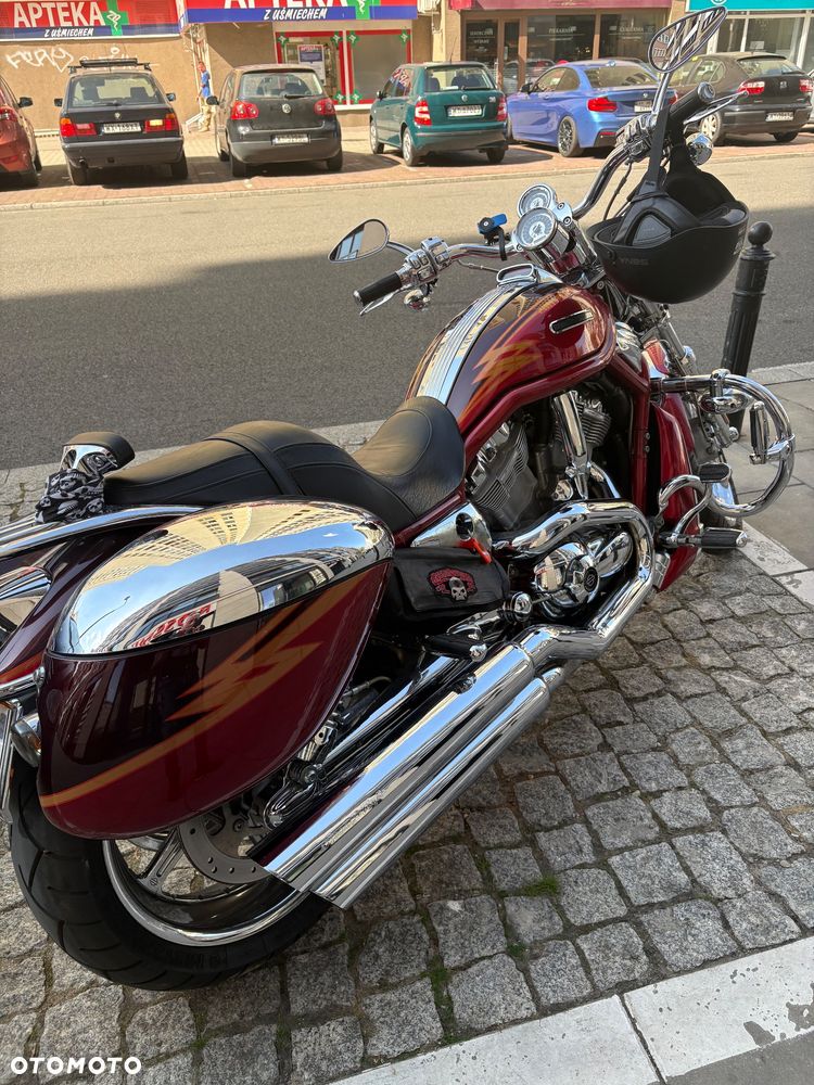 Harley-Davidson Softail V-Rod - 10