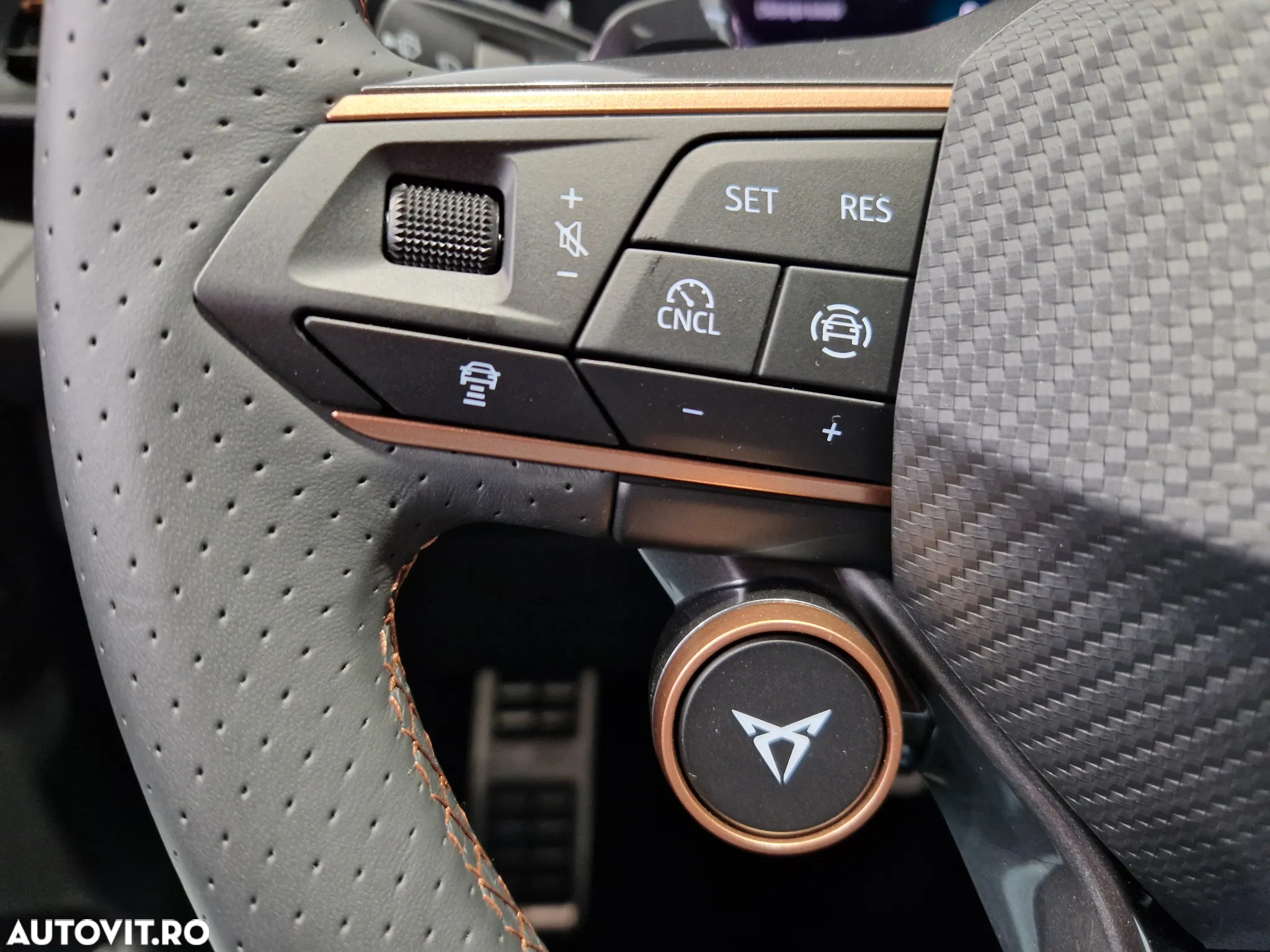 Cupra Terramar - 18