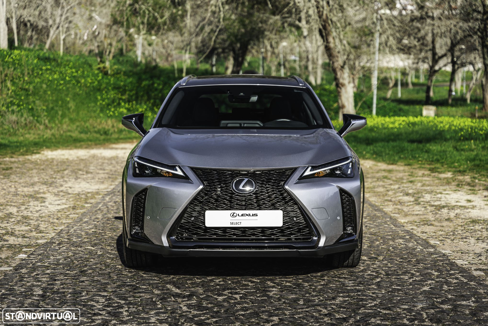 Lexus UX 250h Sport (Ecrã 12.3) - 5