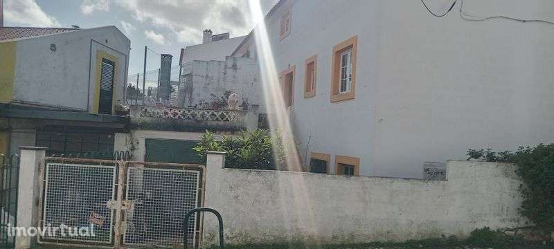 Moradia germinada - Grande imagem: 4/4