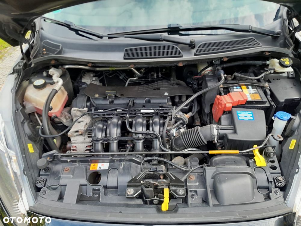 Ford Fiesta 1.25 Celebration - 25