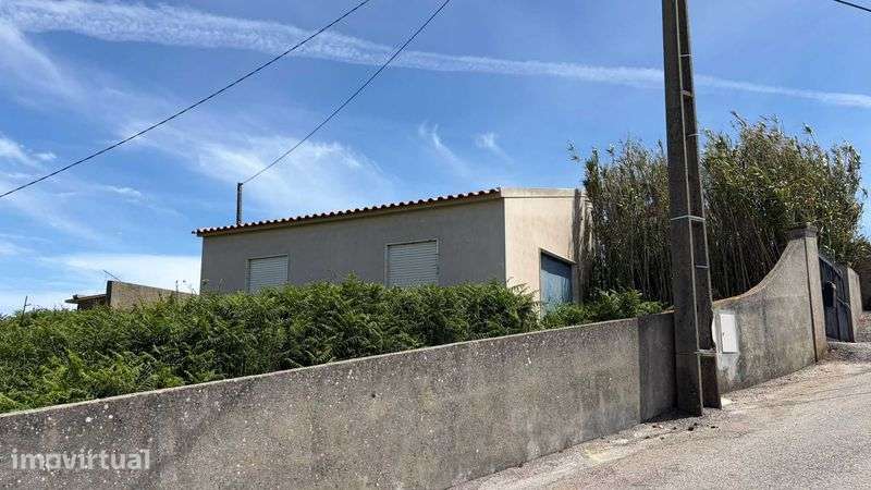 Armazém com logradouro na Igreja Nova - Grande imagem: 4/4