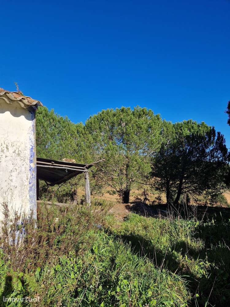 Ruína com 4 Hectares de terreno - S. Teotónio (Odemira) - Grande imagem: 5/9