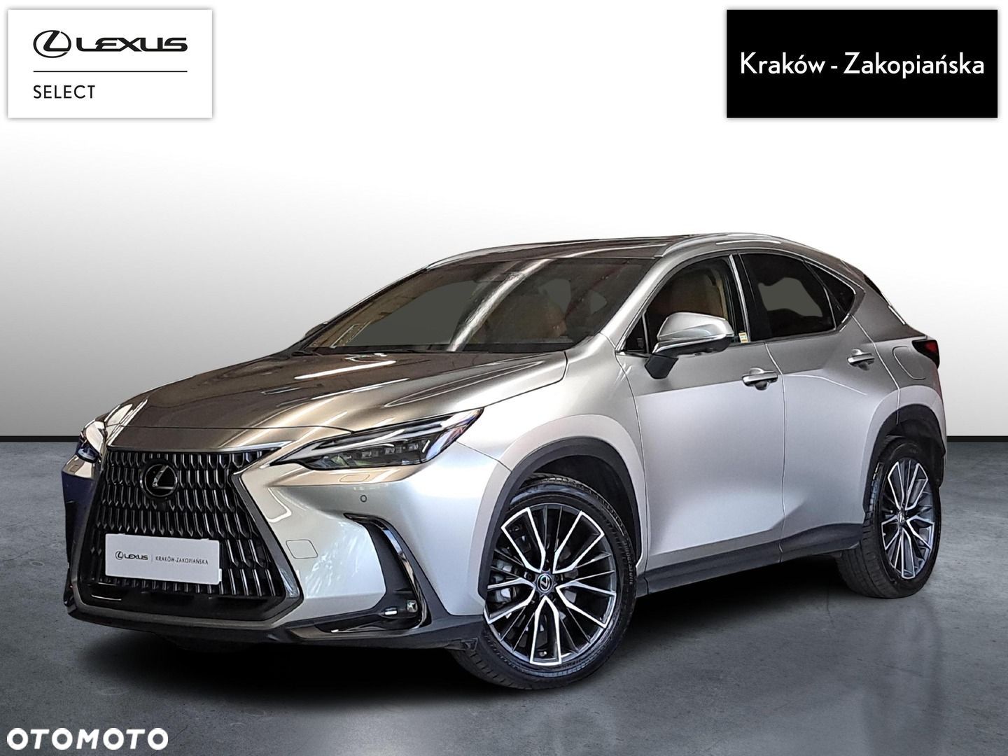 Lexus NX - 1
