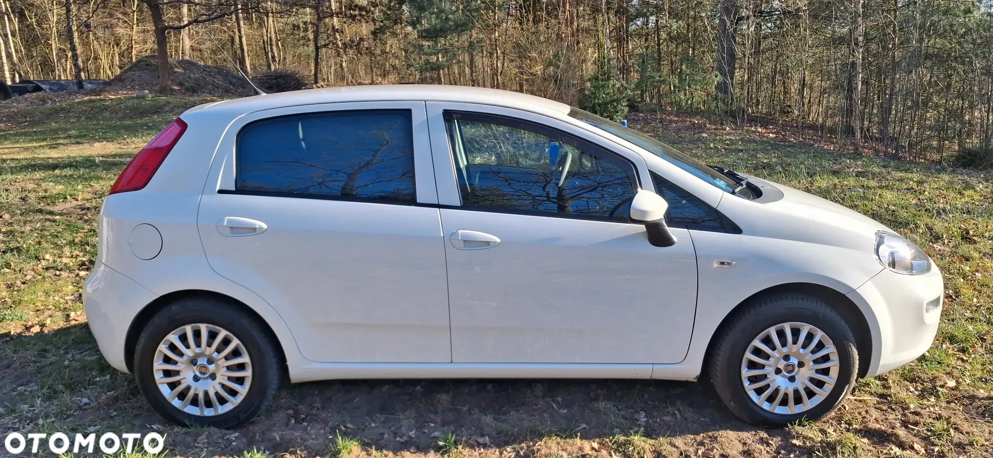 Fiat Punto - 6