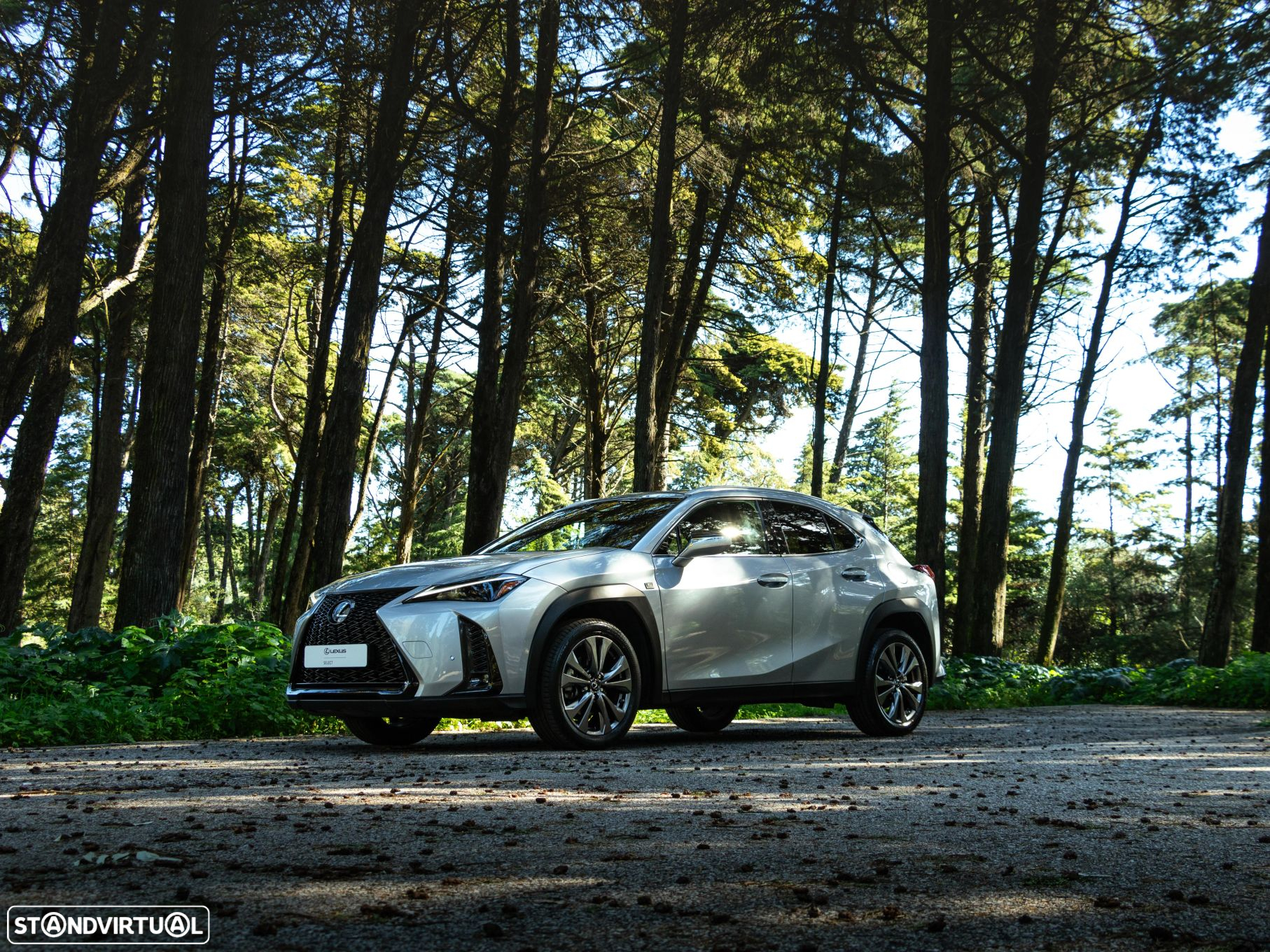 Lexus ux-250h Sport - 15