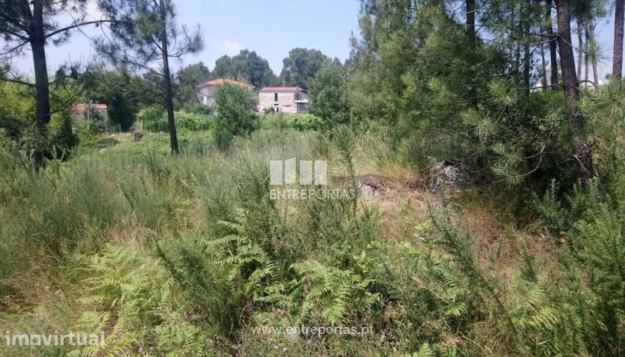 Venda Terreno, próximo rio, Alpendurada e Matos, Marco de Canaveses - Grande imagem: 3/6