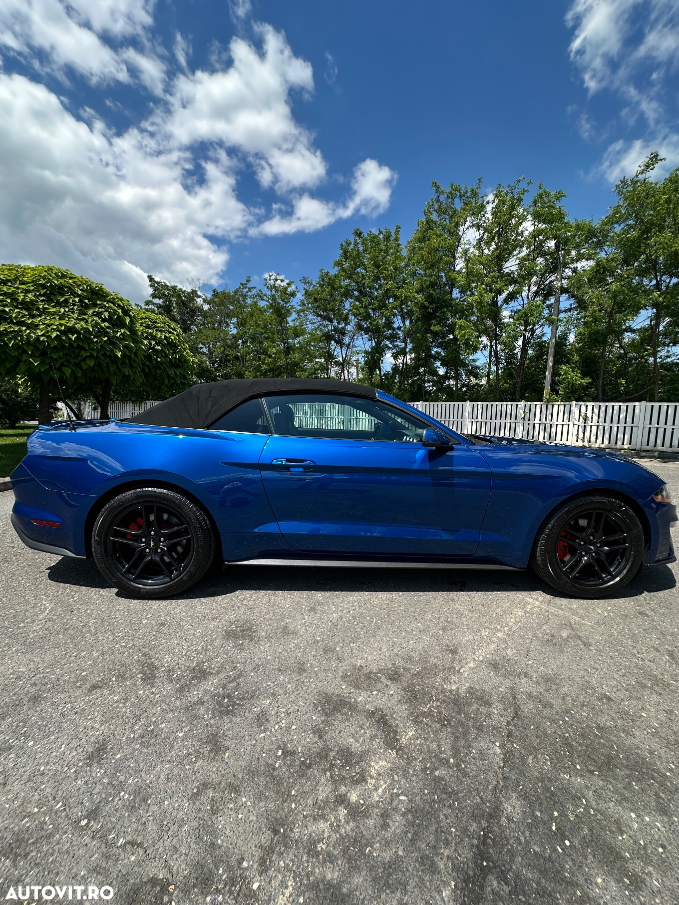 Ford Mustang Cabrio 2.3 Eco Boost - 14