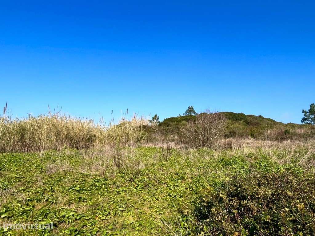 Terreno urbano com 1150m2 na Serra do Bouro, muito perto de Salir d... - Grande imagem: 2/15