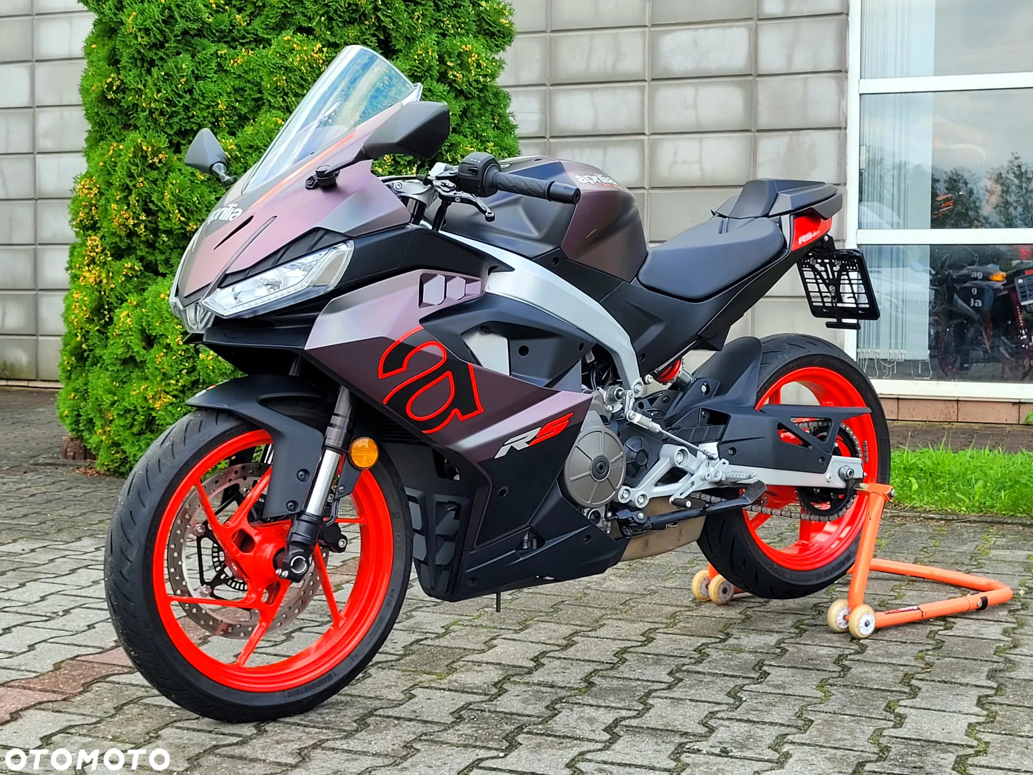 Aprilia RS - 31