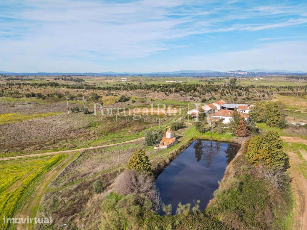 Quinta com casa de habitação T5 e diversas construções - Grande imagem: 5/54