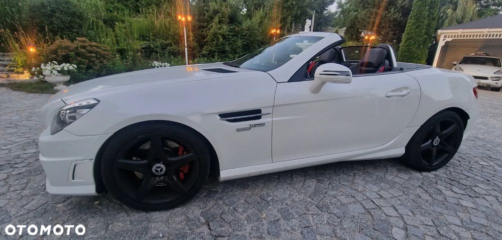 Mercedes-Benz SLK 250 CDI (BlueEFFICIENCY) 7G-TRONIC - 14