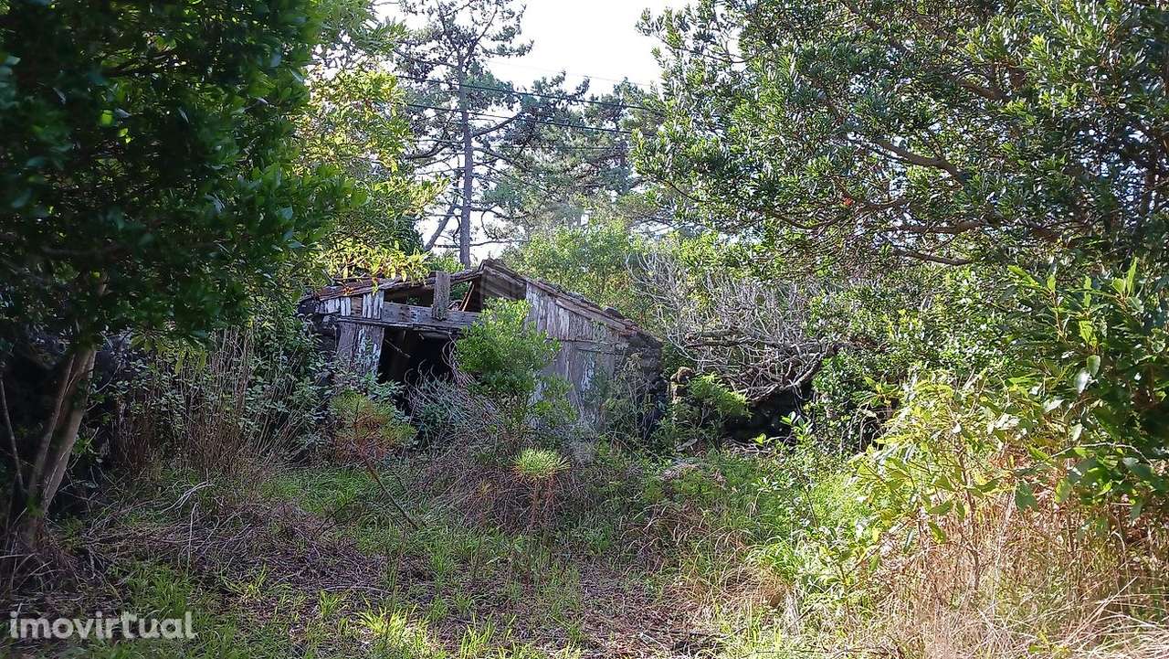 Moradia T1 para venda - Grande imagem: 3/5