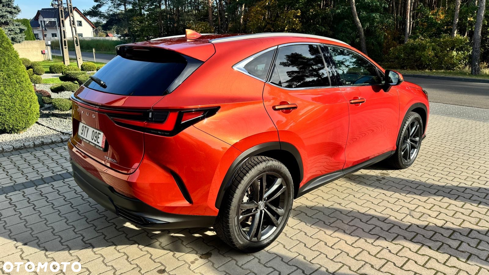 Lexus NX - 5