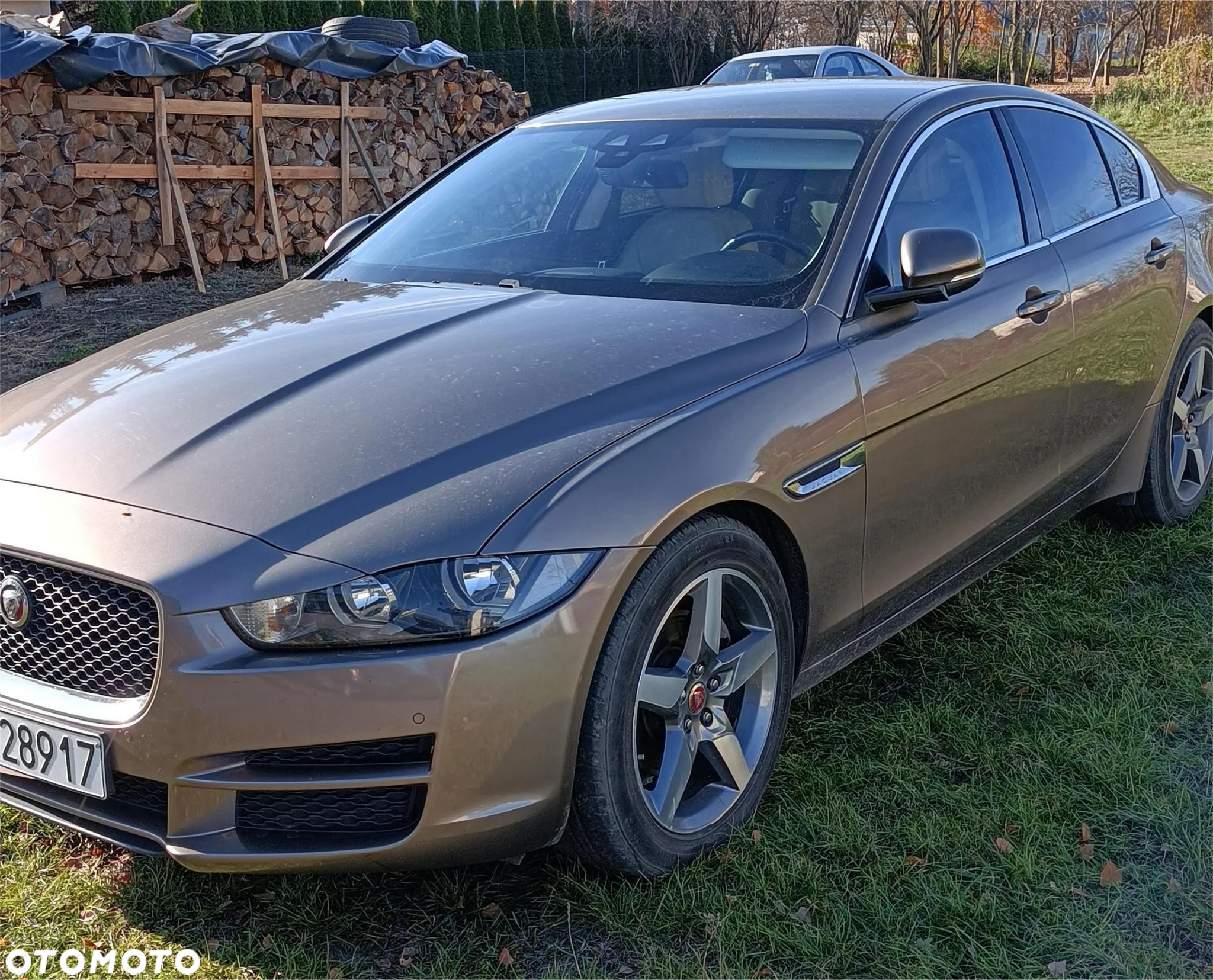 Jaguar XE - 2