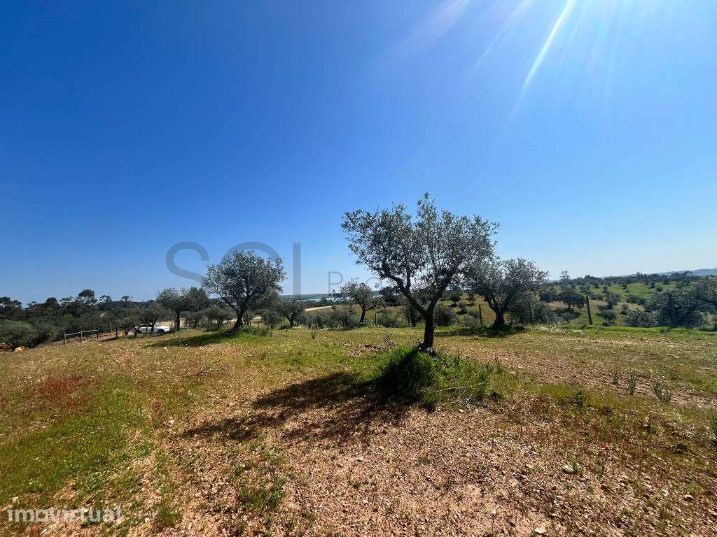Terreno Rustico Alqueva - Grande imagem: 4/20