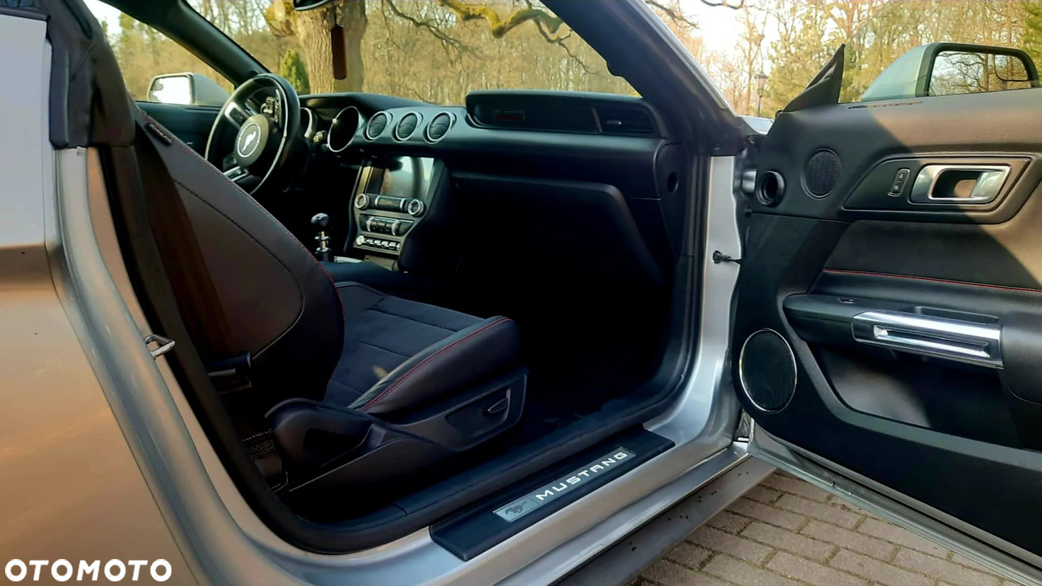Ford Mustang 5.0 V8 GT - 11