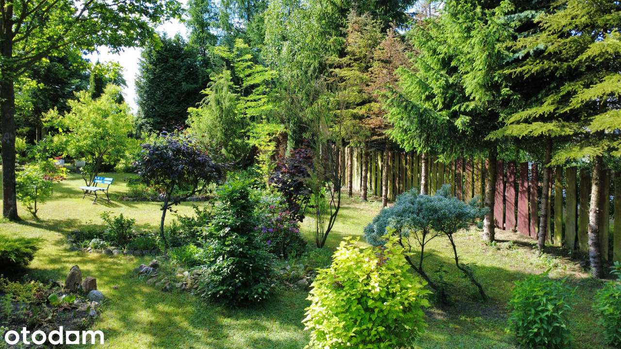 Cisza i spokój - Pełny obrazek: 4/20