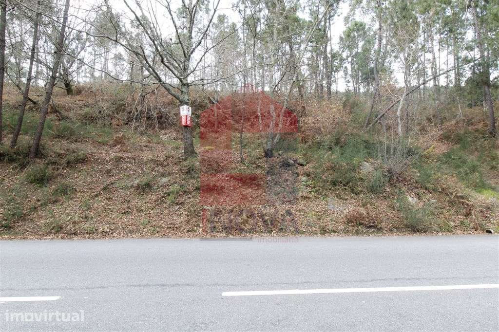Terreno agrícola, Ponte - Grande imagem: 3/11