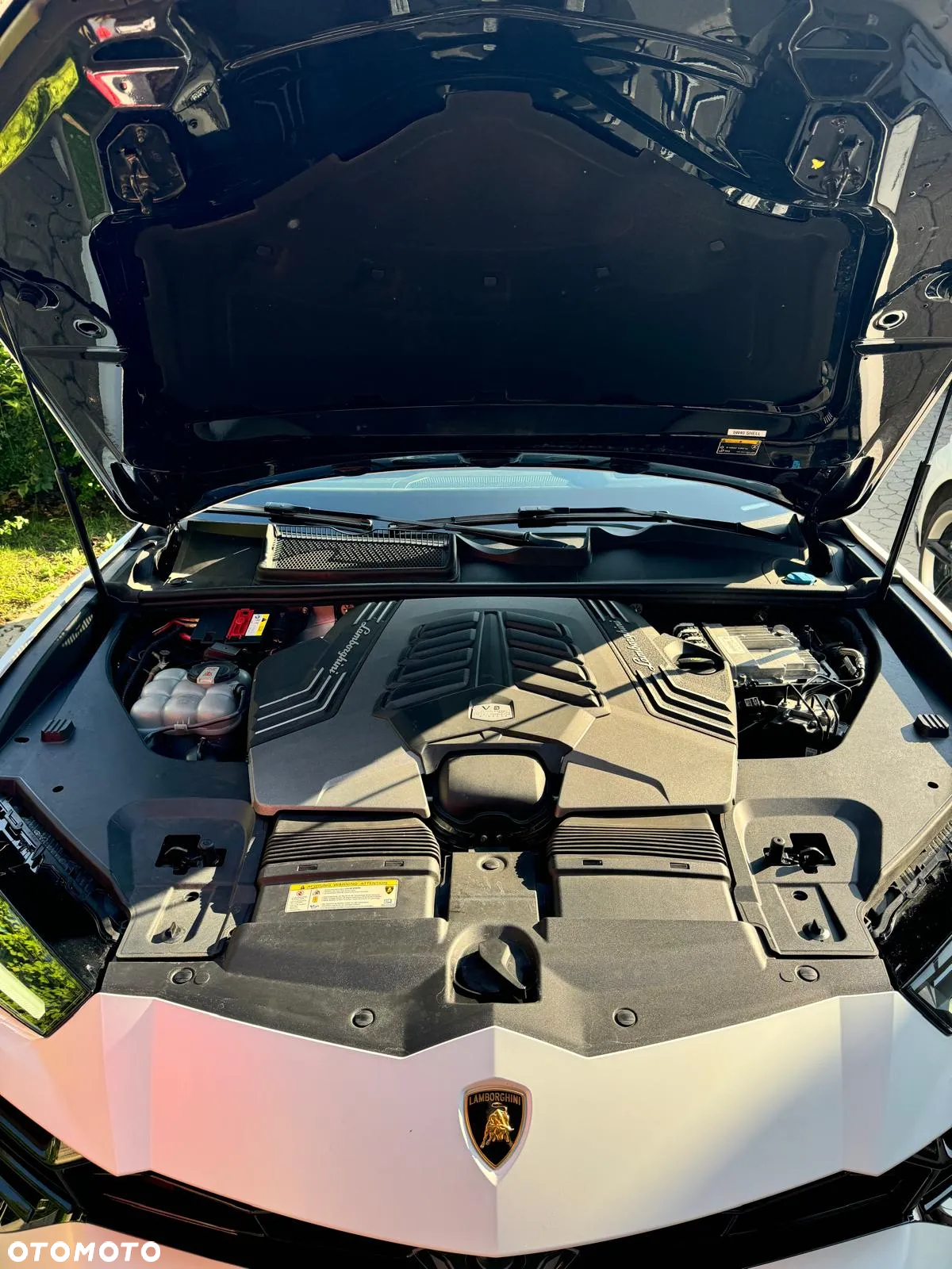 Lamborghini Urus Standard - 7