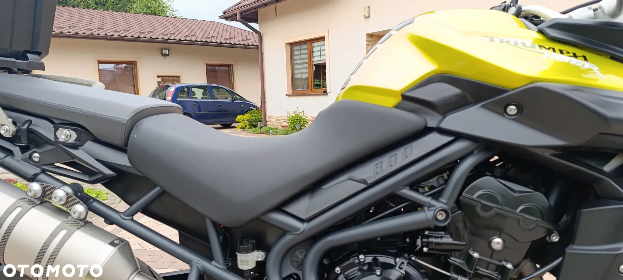 Triumph Tiger - 24
