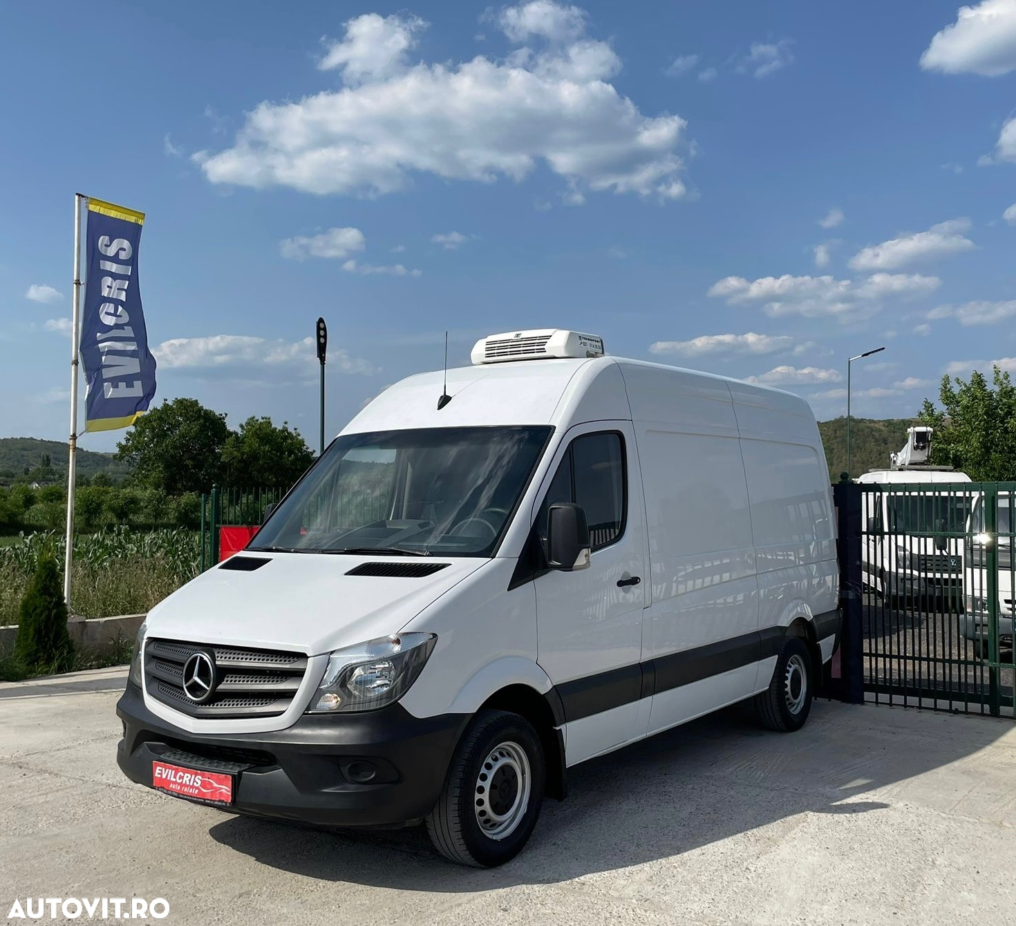 Mercedes-Benz Sprinter FRIGORIFIC THERMO KING CONGELARE - 6