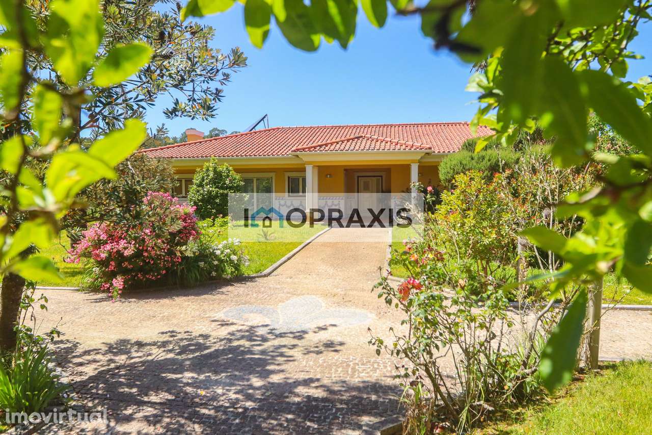 Moradia T5 a menos de 10 minutos da vila da Batalha - Grande imagem: 4/39