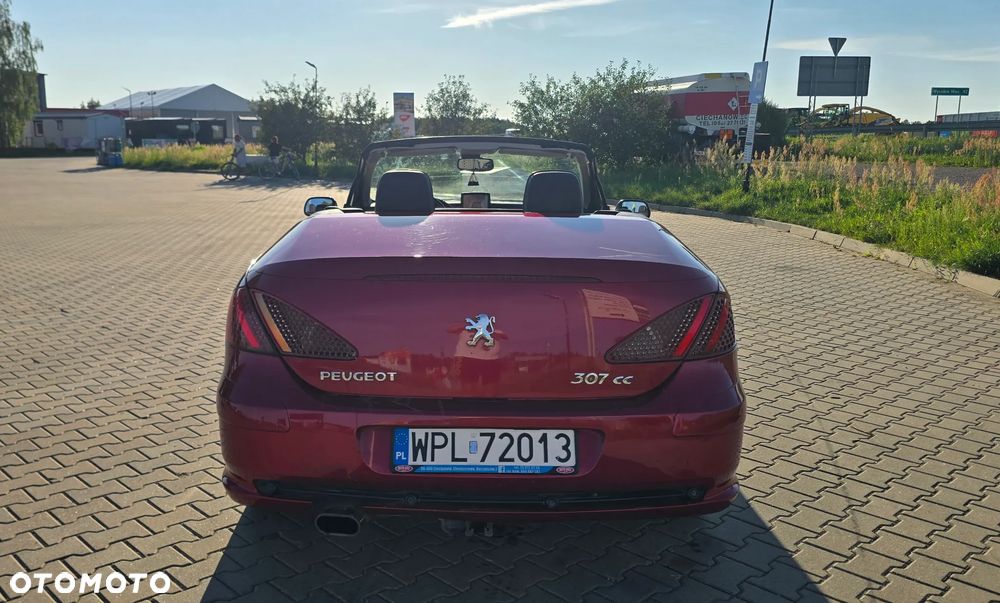 Peugeot 307 2.0 Sporty - 9