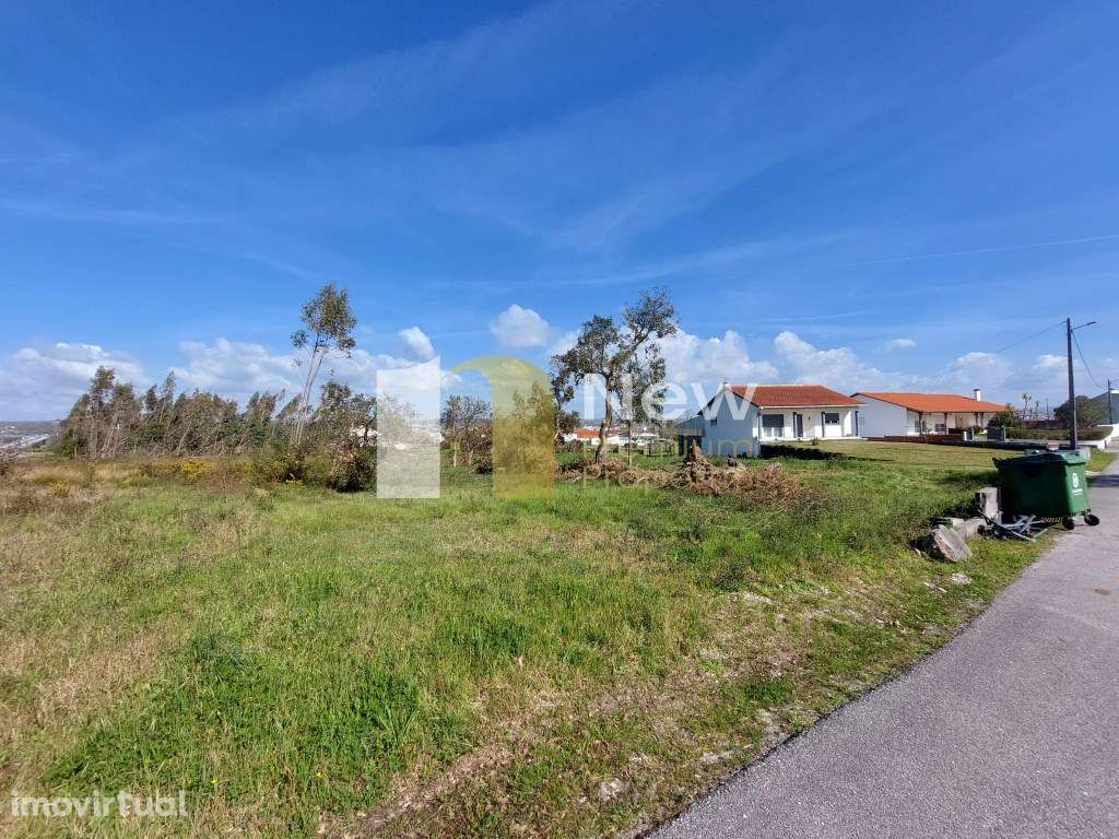 Venda Conjunta de 2 TERRENOS em Amor - Leiria. - Grande imagem: 4/5