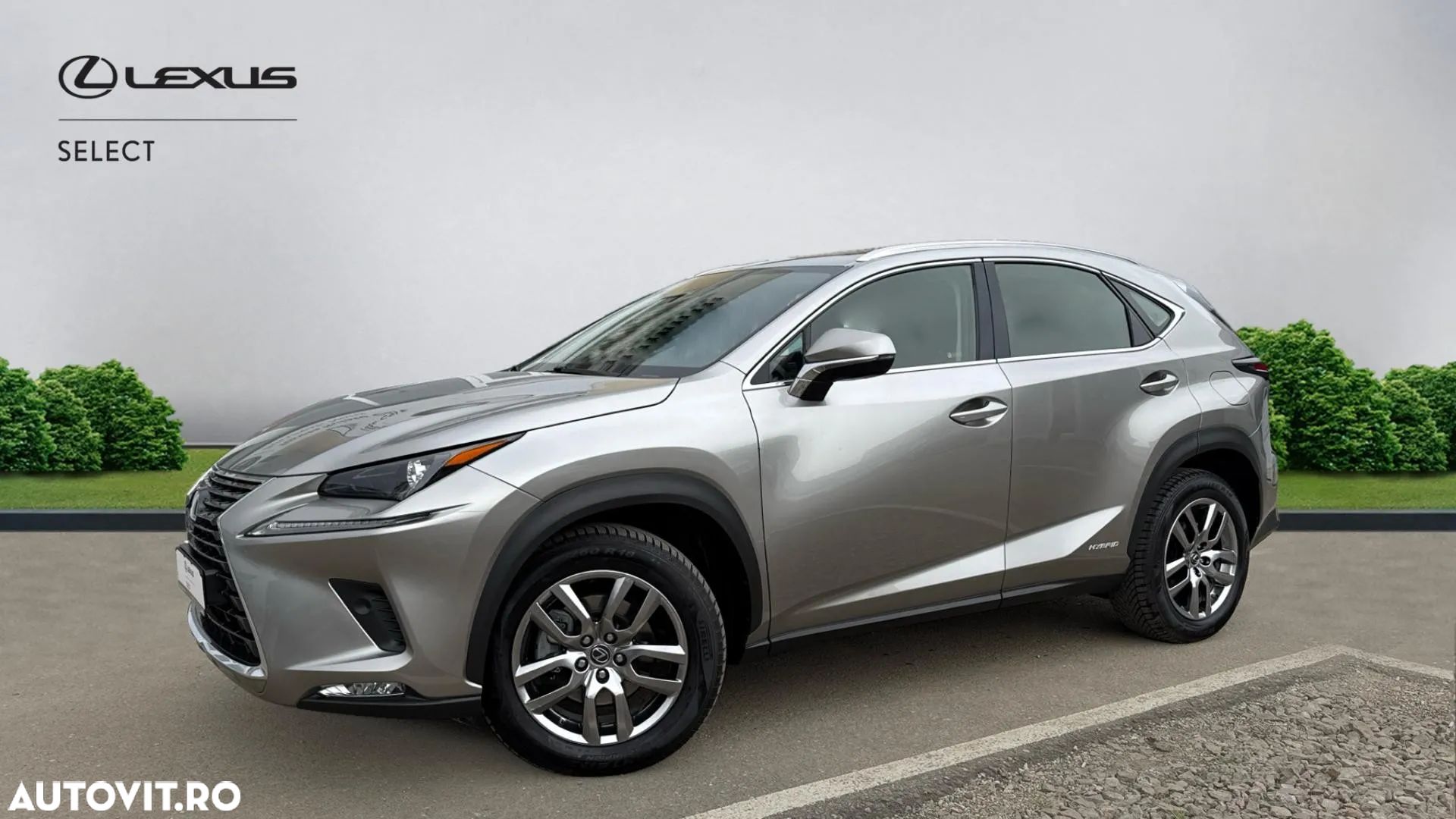 Lexus Seria NX 300h AWD Executive Plus - 1