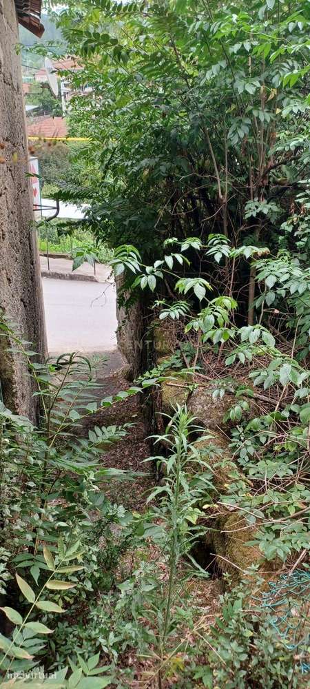 Oportunidade em Beijós: Casa para recuperar - Grande imagem: 5/7
