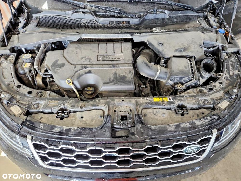 Land Rover Range Rover Evoque P250 R-Dynamic SE - 11