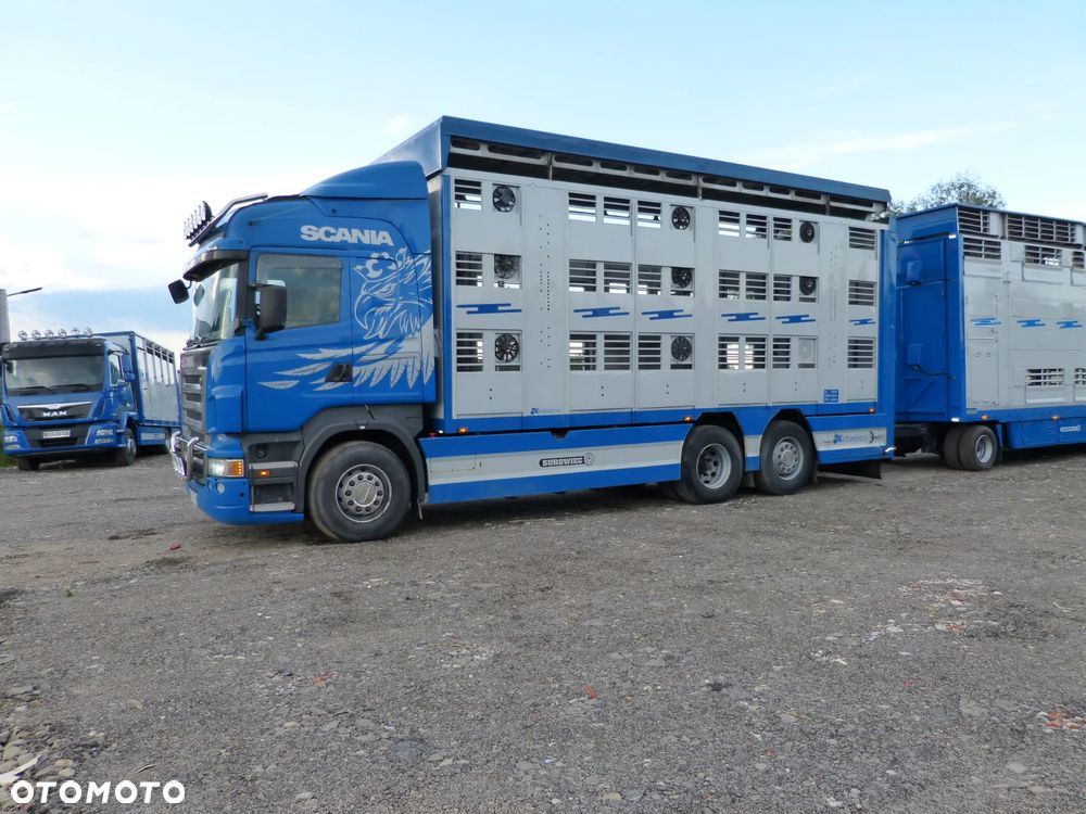 Scania R420 + PRZYCZEPA PEZZAIOLI / ZESTAW DO ŻYWCA, ZWIERZĄT, BYDŁA, TRZODY - 29