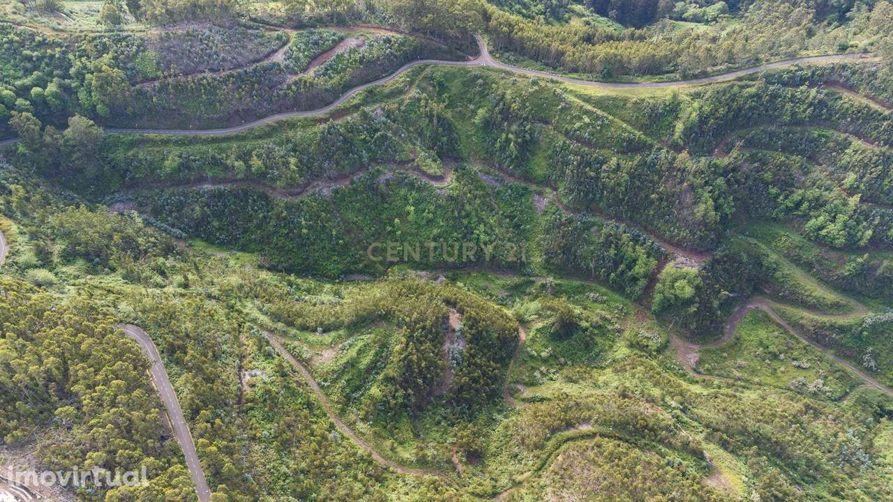 Terreno de 120.000m² com Potencial Agrícola - Campanário - Grande imagem: 3/11