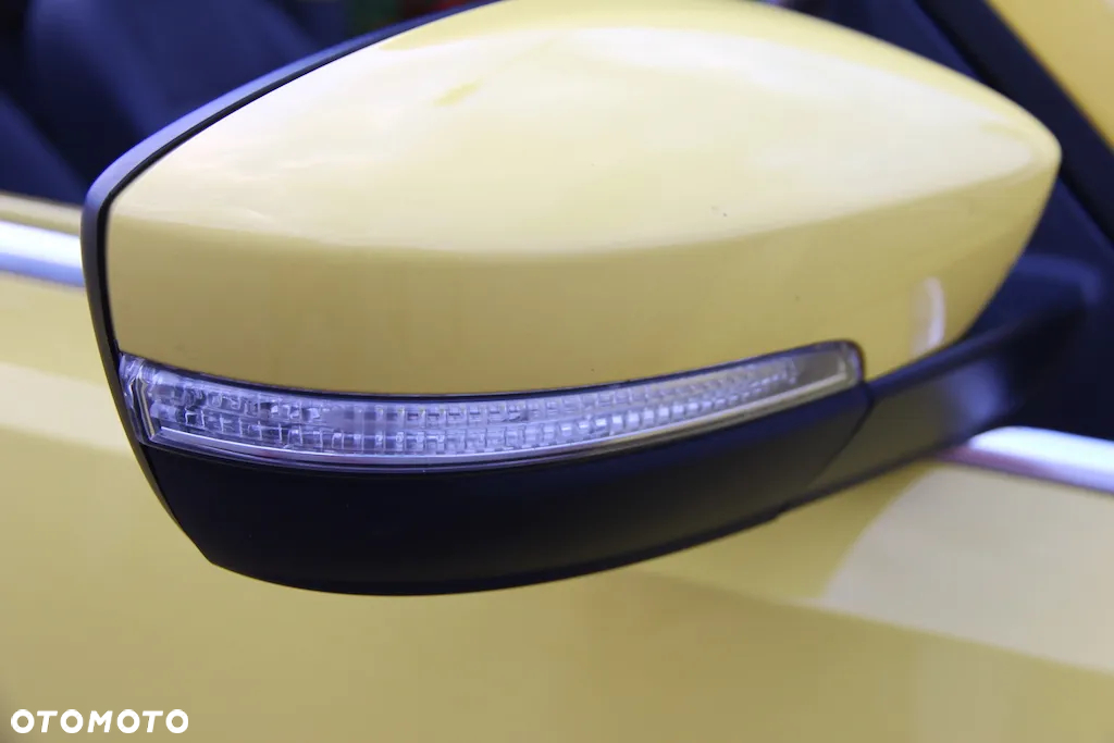 Volkswagen Beetle - 27